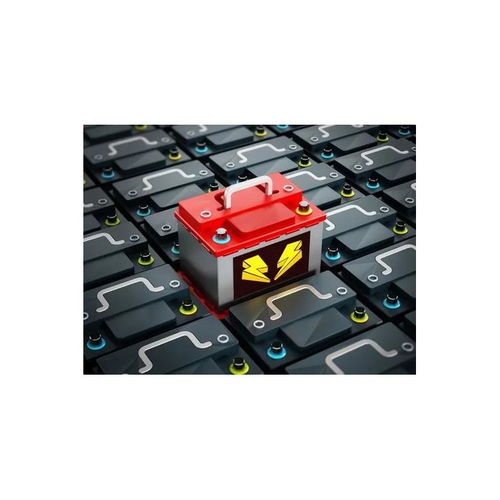 深圳食品进口报关公司 一站式贴心服务与专业报关代理，助力品牌高效通关