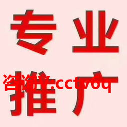 鑫光芒自动发帖代理前景分析 时机与盈利探讨